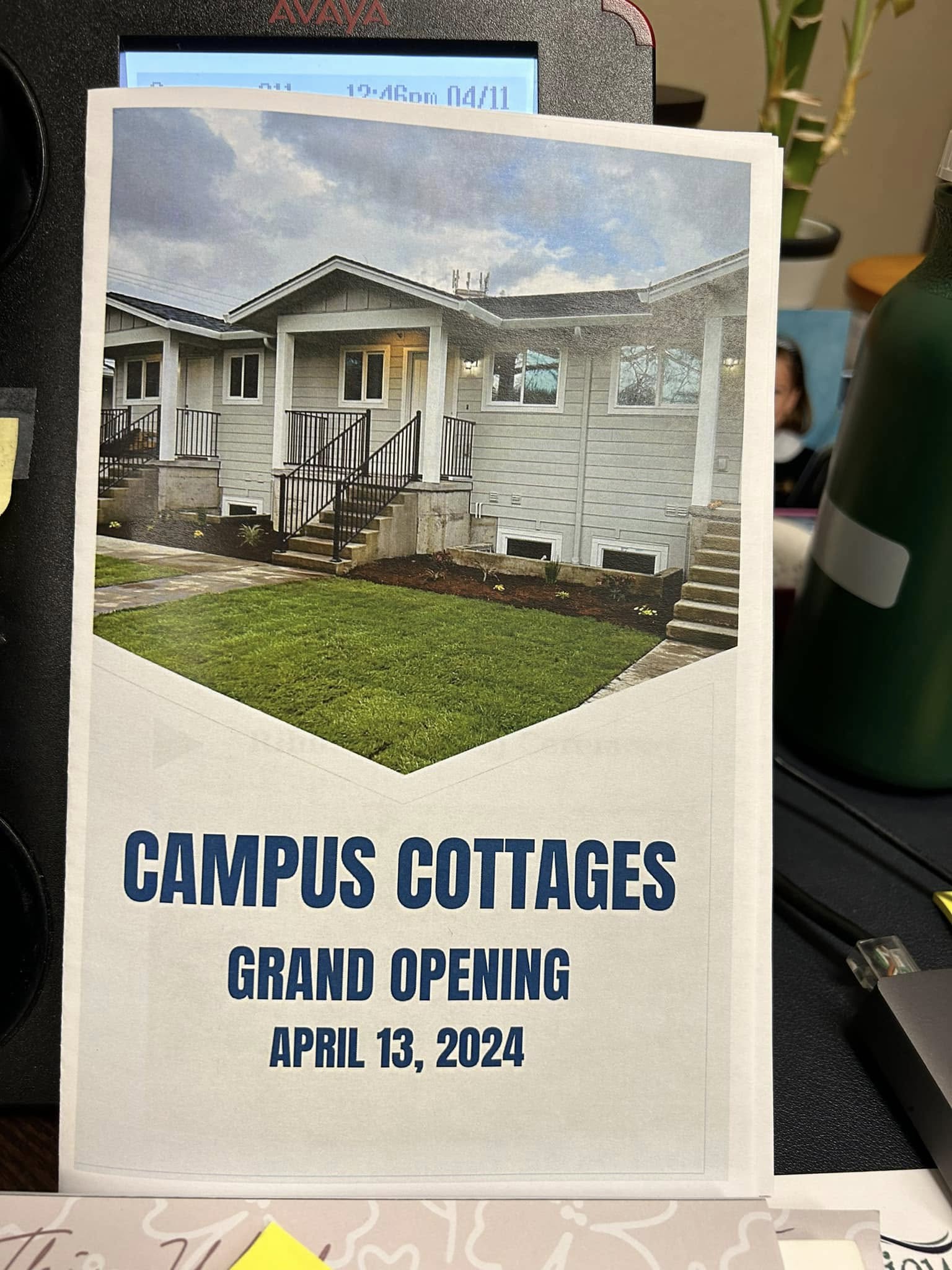 Board and governance practices